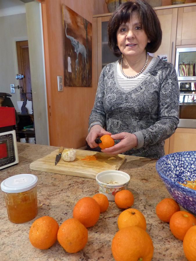La Mirandole Bed & Breakfast Foix Bagian luar foto